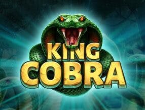 sodokka